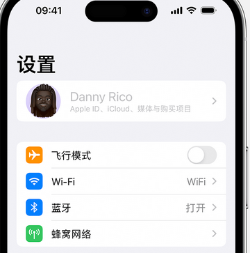 北仑appleID维修服务iPhone设置中Apple ID显示为灰色无法使用 