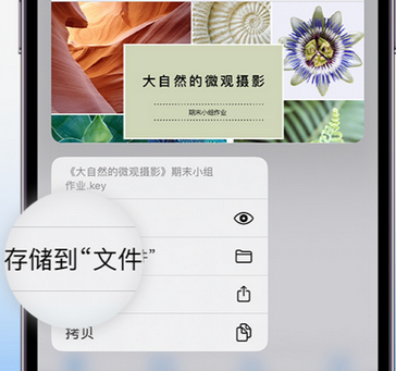 北仑apple维修中心分享iPhone文件应用中存储和找到下载文件