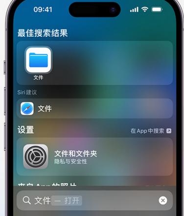 北仑apple维修中心分享iPhone文件应用中存储和找到下载文件