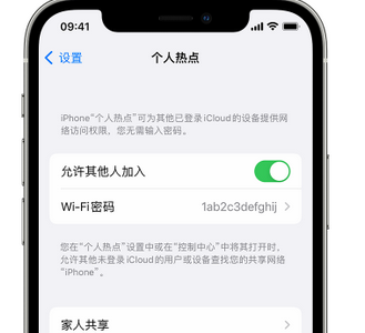 北仑apple服务站点分享iPhone上个人热点丢失了怎么办 