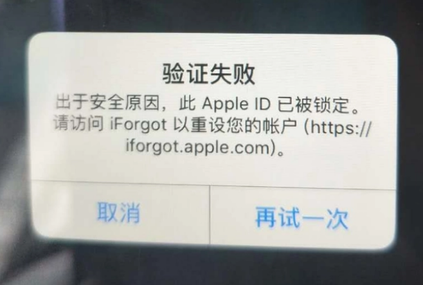 北仑iPhone维修分享iPhone上正常登录或使用AppleID怎么办 