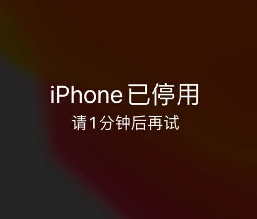 北仑苹果手机维修分享:iPhone 显示“不可用”或“已停用”怎么办？还能保留数据吗？ 