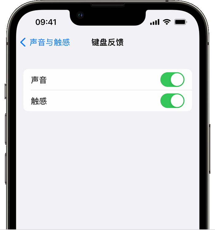 北仑苹果14维修店分享如何在 iPhone 14 机型中使用触感键盘 