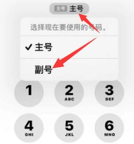 北仑苹果14维修店分享iPhone 14 Pro Max使用副卡打电话的方法 