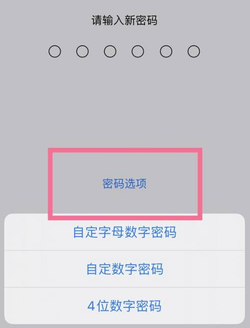 北仑苹果14维修分享iPhone 14plus设置密码的方法 