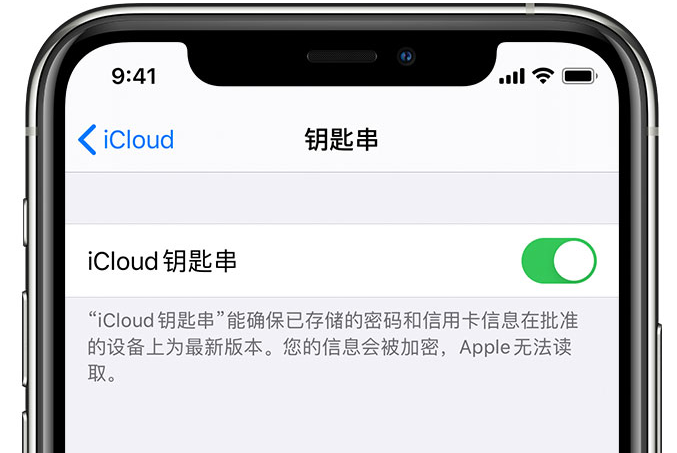 北仑苹果手机维修分享在 iPhone 上开启 iCloud 钥匙串之后会储存哪些信息 